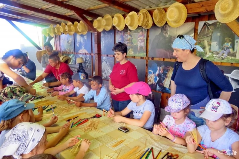 Crișeni Cazare | Căsuțe tip camping (K1128-42) Imaginea poate fi supusă drepturilor de autor. Se recomandă contactarea titularului drepturilor.