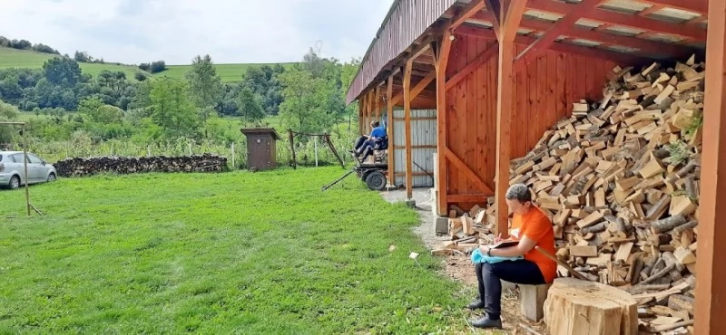 Cristuru Secuiesc Cazare | Casă de oaspeți (K0581-11) Imaginea poate fi supusă drepturilor de autor. Se recomandă contactarea titularului drepturilor.