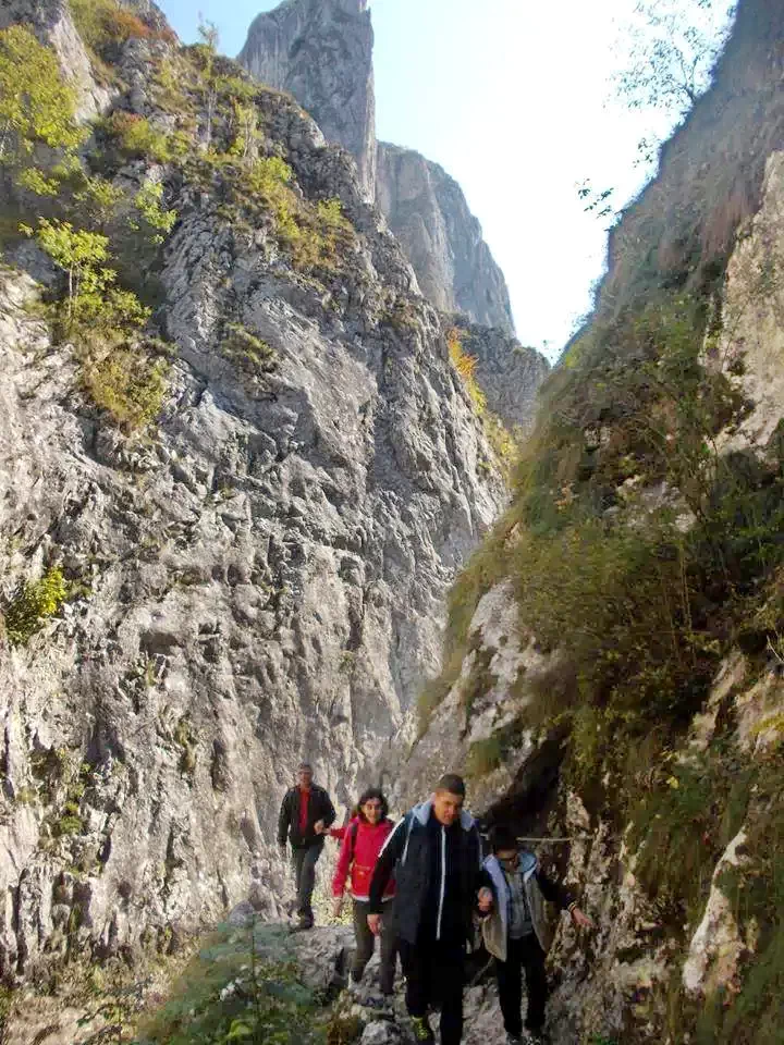 Torockó Szállás | Panzió (K0114-31) A kép szerzői jogvédelem alatt állhat. Javasolt a kapcsolatfelvétel a jog tulajdonossal. Torockó Szállás | Panzió (K0114-31) A kép szerzői jogvédelem alatt állhat. Javasolt a kapcsolatfelvétel a jog tulajdonossal.