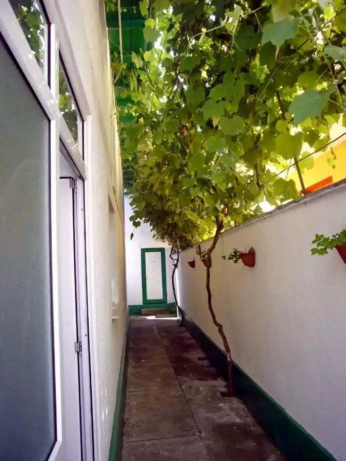 Szállás | Panzió (K1399-10) A kép szerzői jogvédelem alatt állhat. Javasolt a kapcsolatfelvétel a jog tulajdonossal. Szállás | Panzió (K1399-10) A kép szerzői jogvédelem alatt állhat. Javasolt a kapcsolatfelvétel a jog tulajdonossal.