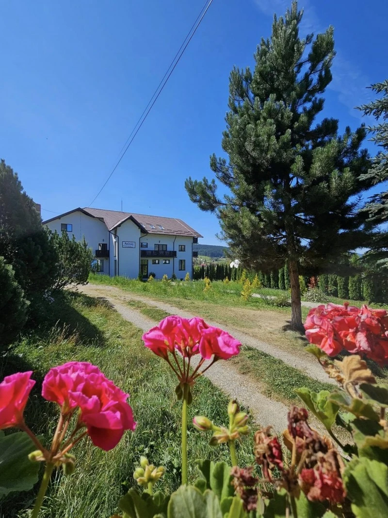 Vatra Dornei Cazare | Pensiune (K1613-9) Imaginea poate fi supusă drepturilor de autor. Se recomandă contactarea titularului drepturilor. Vatra Dornei Cazare | Pensiune (K1613-9) Imaginea poate fi supusă drepturilor de autor. Se recomandă contactarea titularului drepturilor.