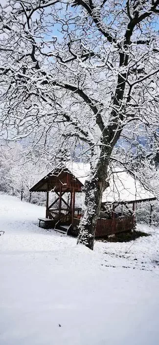 Timișu de Jos Cazare | Hotel** (K1083-30) Imaginea poate fi supusă drepturilor de autor. Se recomandă contactarea titularului drepturilor. Timișu de Jos Cazare | Hotel** (K1083-30) Imaginea poate fi supusă drepturilor de autor. Se recomandă contactarea titularului drepturilor.