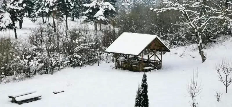 Timișu de Jos Cazare | Hotel** (K1083-31) Imaginea poate fi supusă drepturilor de autor. Se recomandă contactarea titularului drepturilor. Timișu de Jos Cazare | Hotel** (K1083-31) Imaginea poate fi supusă drepturilor de autor. Se recomandă contactarea titularului drepturilor.