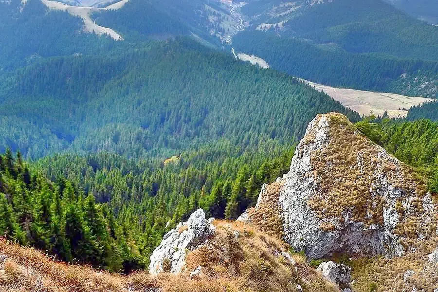 Gheorgheni Cazare | Pensiune (K1293-51) Imaginea poate fi supusă drepturilor de autor. Se recomandă contactarea titularului drepturilor. Gheorgheni Cazare | Pensiune (K1293-51) Imaginea poate fi supusă drepturilor de autor. Se recomandă contactarea titularului drepturilor.