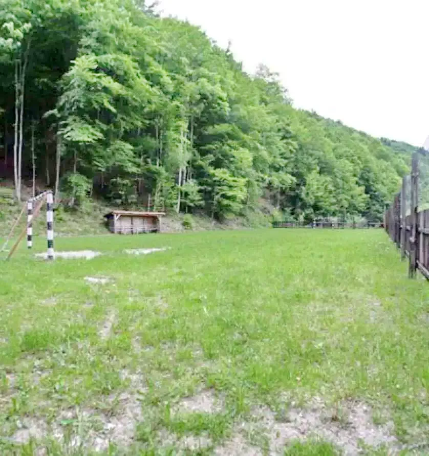 Lesu Tó Szállás | Panzió (K1032-19) A kép szerzői jogvédelem alatt állhat. Javasolt a kapcsolatfelvétel a jog tulajdonossal. Lesu Tó Szállás | Panzió (K1032-19) A kép szerzői jogvédelem alatt állhat. Javasolt a kapcsolatfelvétel a jog tulajdonossal.
