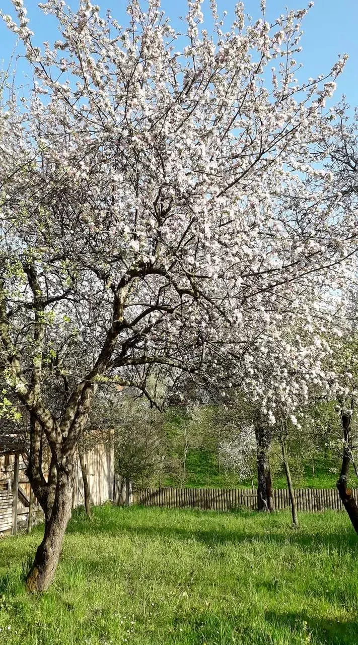 Sâncraiu Cazare | Casă de oaspeți (K1192-47) Imaginea poate fi supusă drepturilor de autor. Se recomandă contactarea titularului drepturilor. Sâncraiu Cazare | Casă de oaspeți (K1192-47) Imaginea poate fi supusă drepturilor de autor. Se recomandă contactarea titularului drepturilor.
