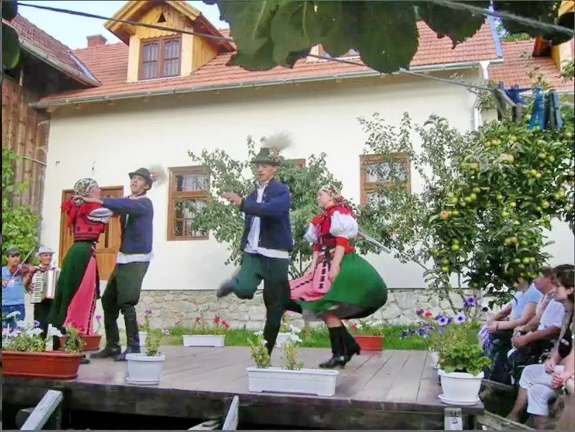 Prezantarea dansurilor populare Prezantarea dansurilor populare
