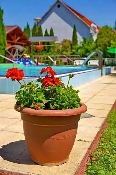 Cazare | Casă de apartamente (K0945-26) Imaginea poate fi supusă drepturilor de autor. Se recomandă contactarea titularului drepturilor. Cazare | Casă de apartamente (K0945-26) Imaginea poate fi supusă drepturilor de autor. Se recomandă contactarea titularului drepturilor.
