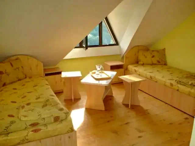 Văliug Cazare | Hotel*** (K0902-20) Imaginea poate fi supusă drepturilor de autor. Se recomandă contactarea titularului drepturilor. Văliug Cazare | Hotel*** (K0902-20) Imaginea poate fi supusă drepturilor de autor. Se recomandă contactarea titularului drepturilor.