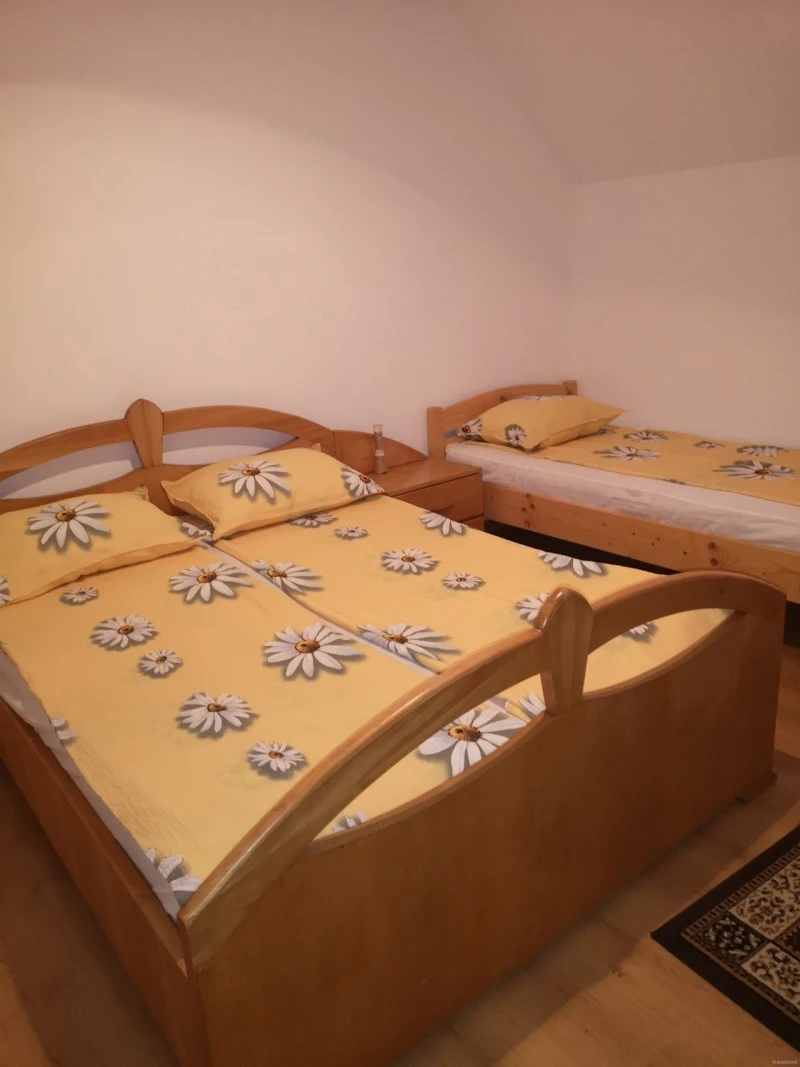 Szállás  Bisericani - Casa de Oaspeți Zöldfenyő | Székelyszentlélek - Zöldfenyő Vendégház. A kép szerzői jogvédelem alatt állhat. Javasolt a kapcsolatfelvétel a jog tulajdonossal.