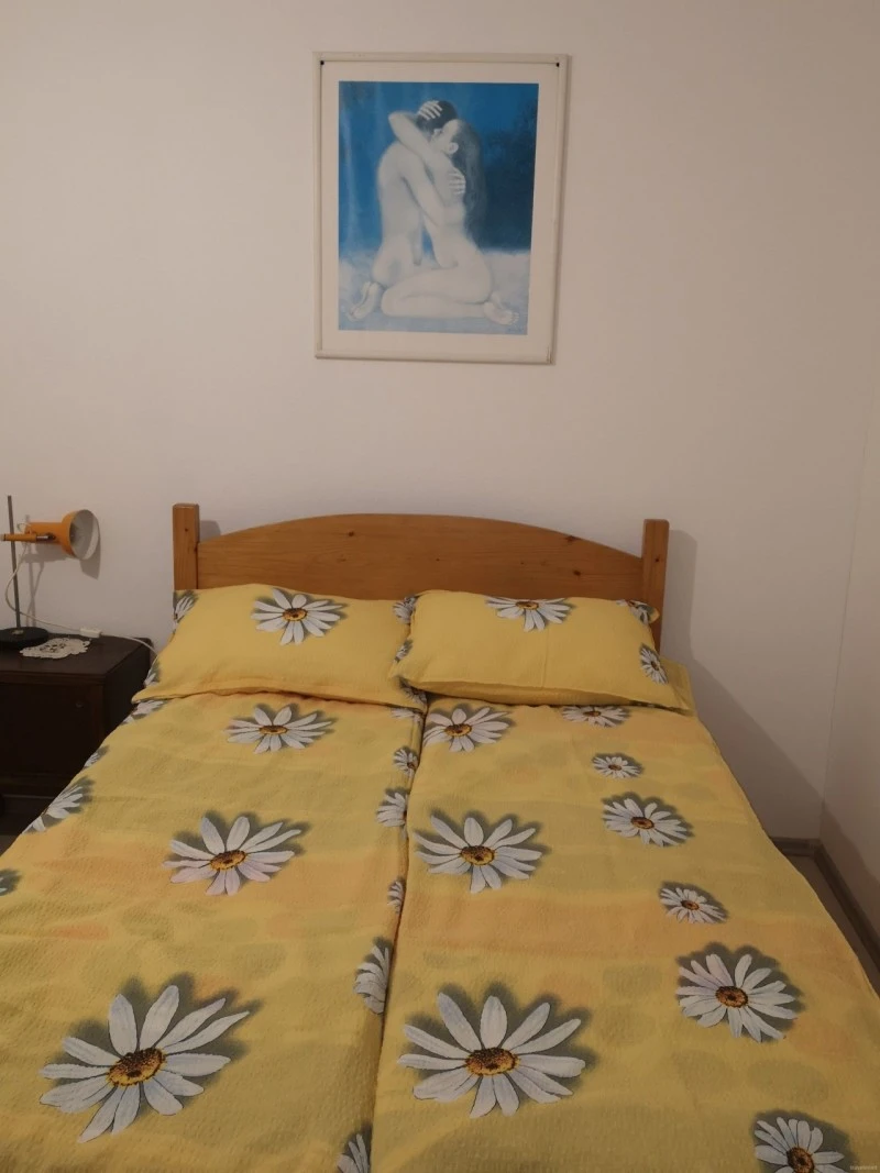 Odorheiu Secuiesc Cazare | Casă de oaspeți (K1540-38) Imaginea poate fi supusă drepturilor de autor. Se recomandă contactarea titularului drepturilor.