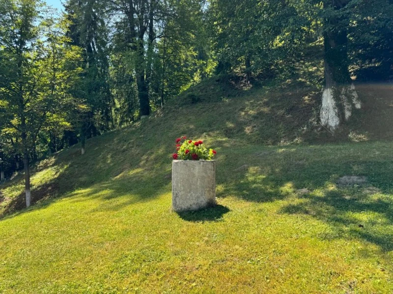Cazare Vama - Bucovina - Pensiunea Lucretia**** | Bukovina - Vama - Lucretia Panzió****. Imaginea poate fi supusă drepturilor de autor. Se recomandă contactarea titularului drepturilor.