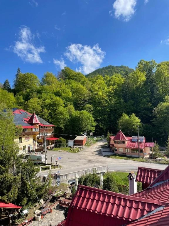 Szállás Băile Bálványos - Pensiunea Vár*** | Bálványosfürdő - Vár Panzió***. A kép szerzői jogvédelem alatt állhat. Javasolt a kapcsolatfelvétel a jog tulajdonossal.