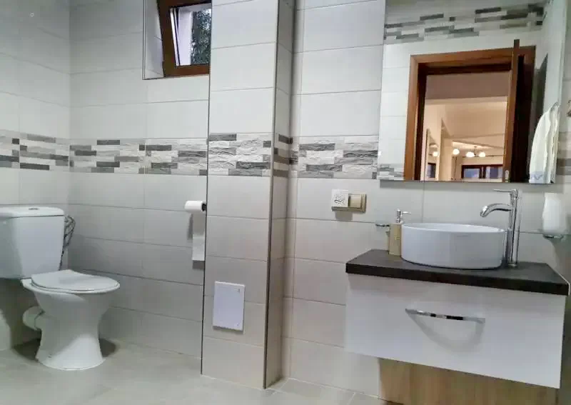 Colibița Cazare | Vilă (K1282-28) Imaginea poate fi supusă drepturilor de autor. Se recomandă contactarea titularului drepturilor.