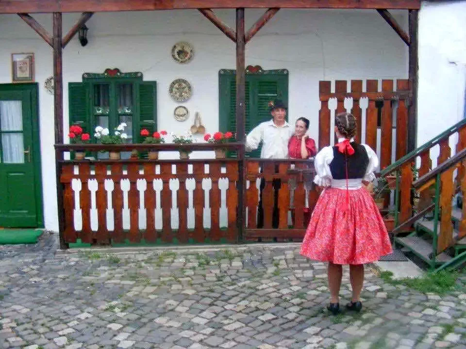 Cazare Oradea - Pensiunea Gobe*** | Nagyvárad - Góbé Panzió***. Imaginea poate fi supusă drepturilor de autor. Se recomandă contactarea titularului drepturilor.
