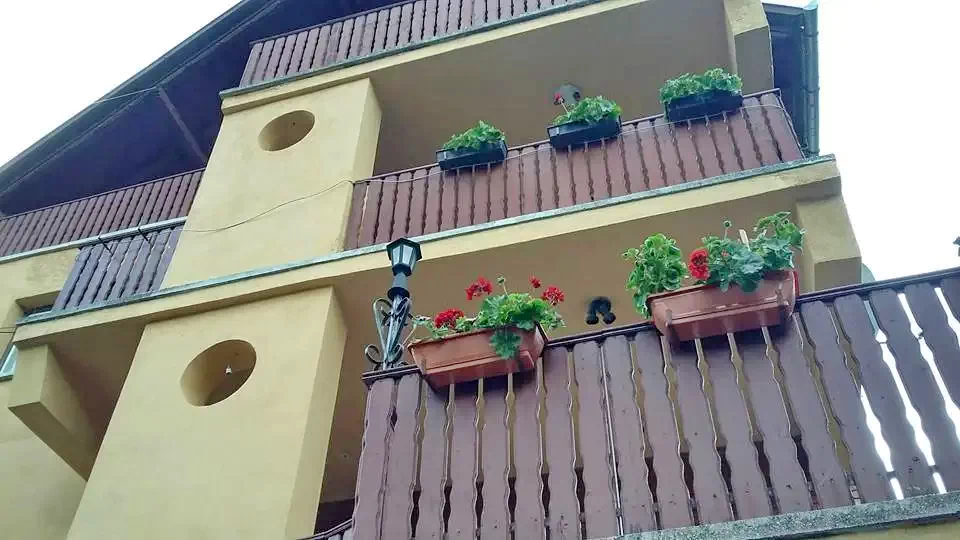 Cazare Băile Tușnad -  Motel Bradul | Tusnádfürdő - Bradul Motel. Imaginea poate fi supusă drepturilor de autor. Se recomandă contactarea titularului drepturilor.