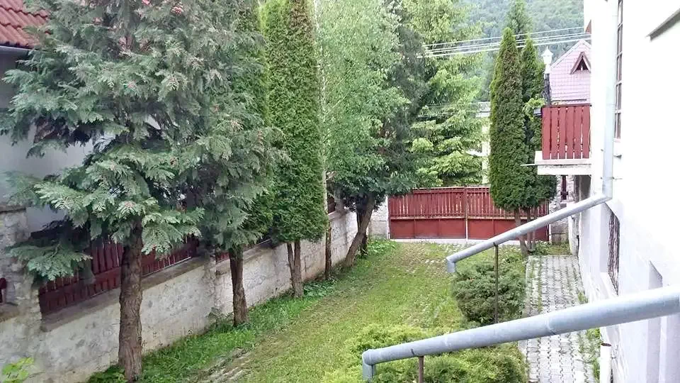 Cazare Băile Tușnad -  Motel Bradul | Tusnádfürdő - Bradul Motel. Imaginea poate fi supusă drepturilor de autor. Se recomandă contactarea titularului drepturilor.
