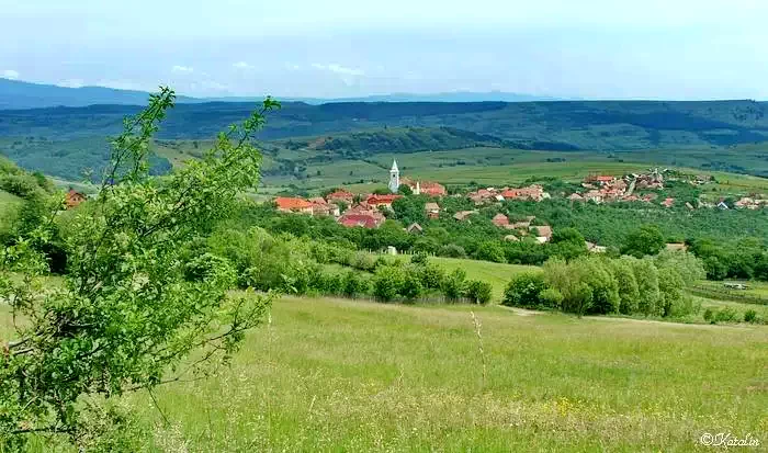 Oroszhegy Szállás | Panzió (K1412-46) A kép szerzői jogvédelem alatt állhat. Javasolt a kapcsolatfelvétel a jog tulajdonossal. Oroszhegy Szállás | Panzió (K1412-46) A kép szerzői jogvédelem alatt állhat. Javasolt a kapcsolatfelvétel a jog tulajdonossal.