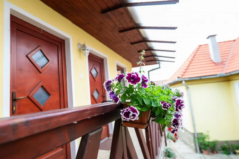 Odorheiu Secuiesc Cazare | Pensiune (K0105-5) Imaginea poate fi supusă drepturilor de autor. Se recomandă contactarea titularului drepturilor.