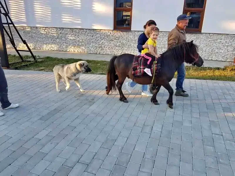 Cazare Colibița - Pensiunea Montana Resort*** | Kolibica - Montana Resort Panzió***. Imaginea poate fi supusă drepturilor de autor. Se recomandă contactarea titularului drepturilor.
