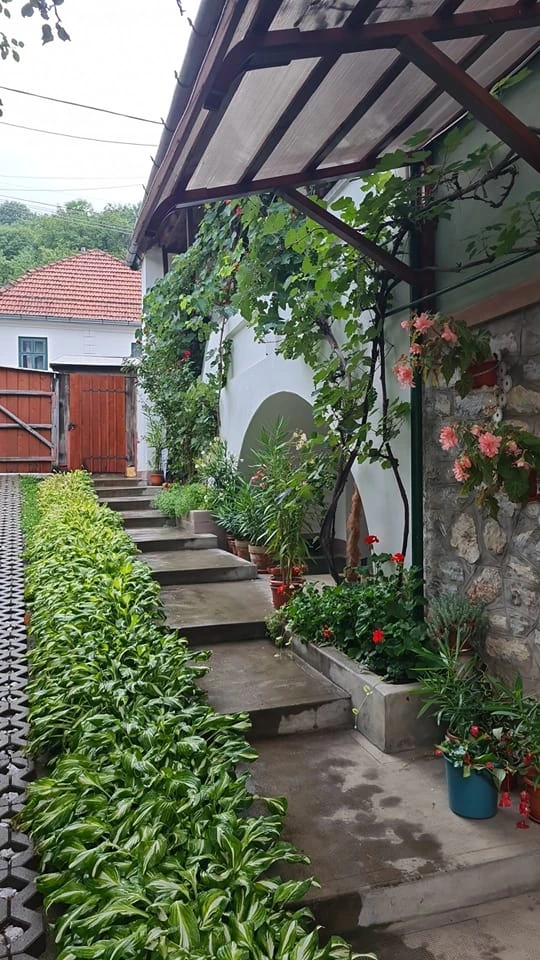 Torockó Szállás | Vendégház (K1095-18) A kép szerzői jogvédelem alatt állhat. Javasolt a kapcsolatfelvétel a jog tulajdonossal. Torockó Szállás | Vendégház (K1095-18) A kép szerzői jogvédelem alatt állhat. Javasolt a kapcsolatfelvétel a jog tulajdonossal.