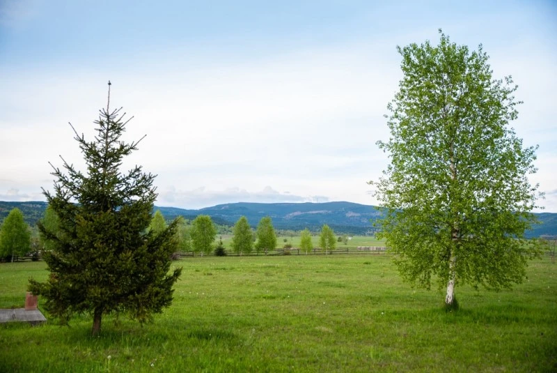 Căpâlnița Cazare | Pensiune (K1240-60) Imaginea poate fi supusă drepturilor de autor. Se recomandă contactarea titularului drepturilor. Căpâlnița Cazare | Pensiune (K1240-60) Imaginea poate fi supusă drepturilor de autor. Se recomandă contactarea titularului drepturilor.