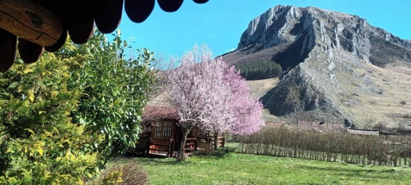 Cazare Rimetea - Casa de vacanță Vígh** | Torockó - Vígh Vendégház**. Imaginea poate fi supusă drepturilor de autor. Se recomandă contactarea titularului drepturilor.