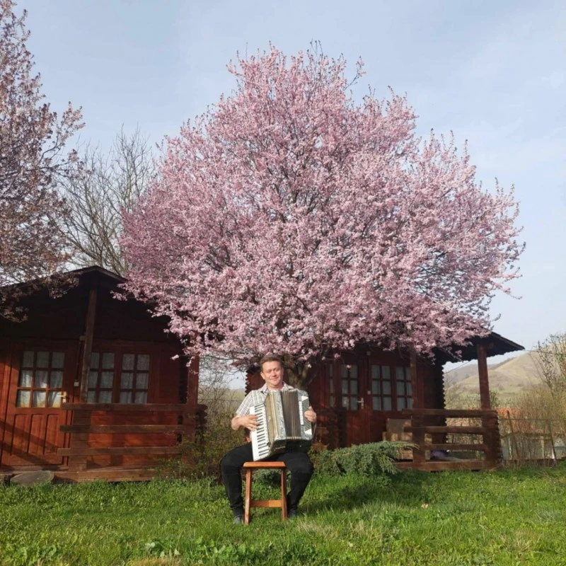 Cazare Rimetea - Casa de vacanță Vígh** | Torockó - Vígh Vendégház**. Imaginea poate fi supusă drepturilor de autor. Se recomandă contactarea titularului drepturilor.