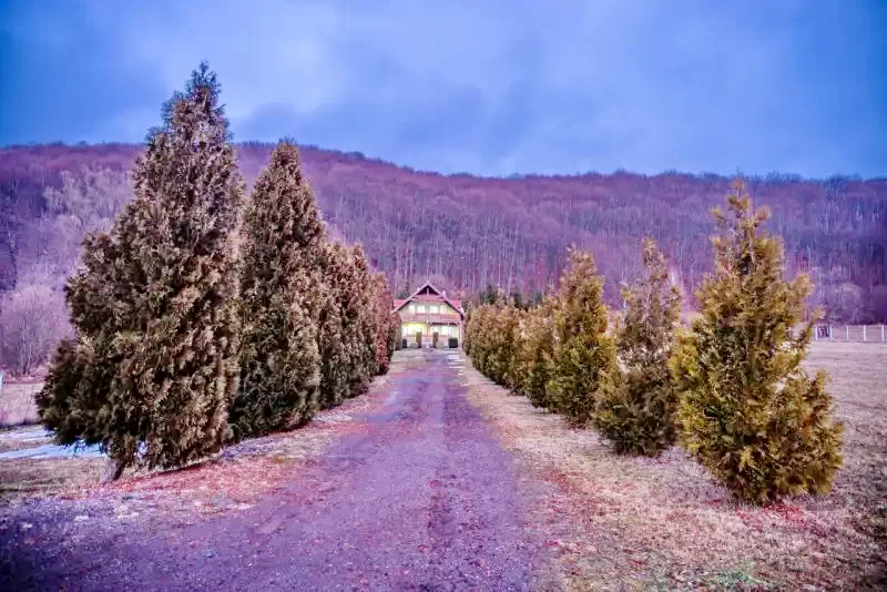 Bixad Cazare | Cabană (K1117-19) Imaginea poate fi supusă drepturilor de autor. Se recomandă contactarea titularului drepturilor.