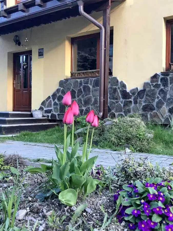 Harghita-Băi Cazare | Pensiune (K1217-2) Imaginea poate fi supusă drepturilor de autor. Se recomandă contactarea titularului drepturilor. Harghita-Băi Cazare | Pensiune (K1217-2) Imaginea poate fi supusă drepturilor de autor. Se recomandă contactarea titularului drepturilor.