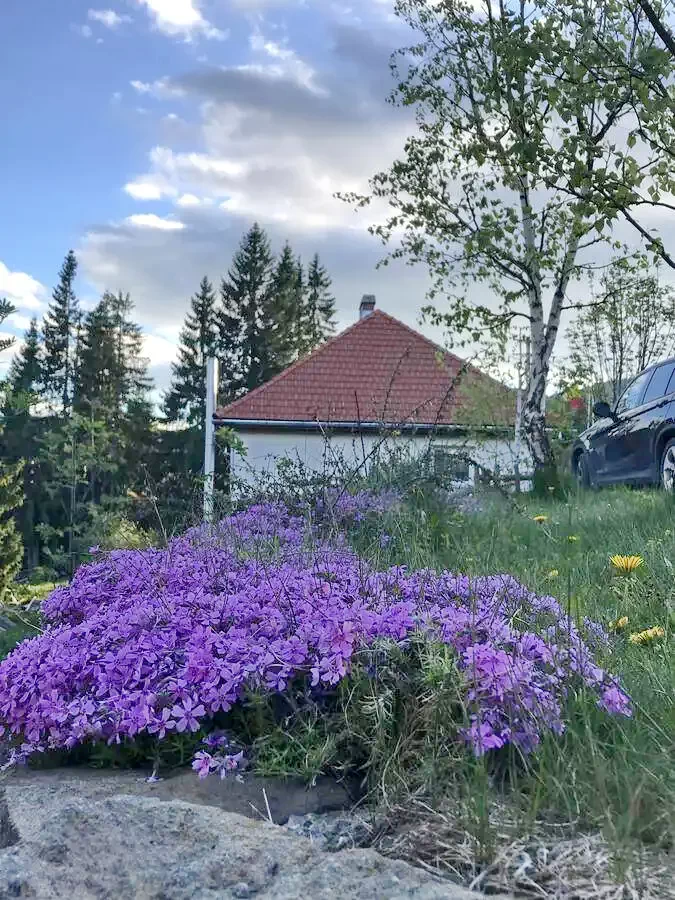 Hargitafürdő Szállás | Panzió (K1217-19) A kép szerzői jogvédelem alatt állhat. Javasolt a kapcsolatfelvétel a jog tulajdonossal. Hargitafürdő Szállás | Panzió (K1217-19) A kép szerzői jogvédelem alatt állhat. Javasolt a kapcsolatfelvétel a jog tulajdonossal.