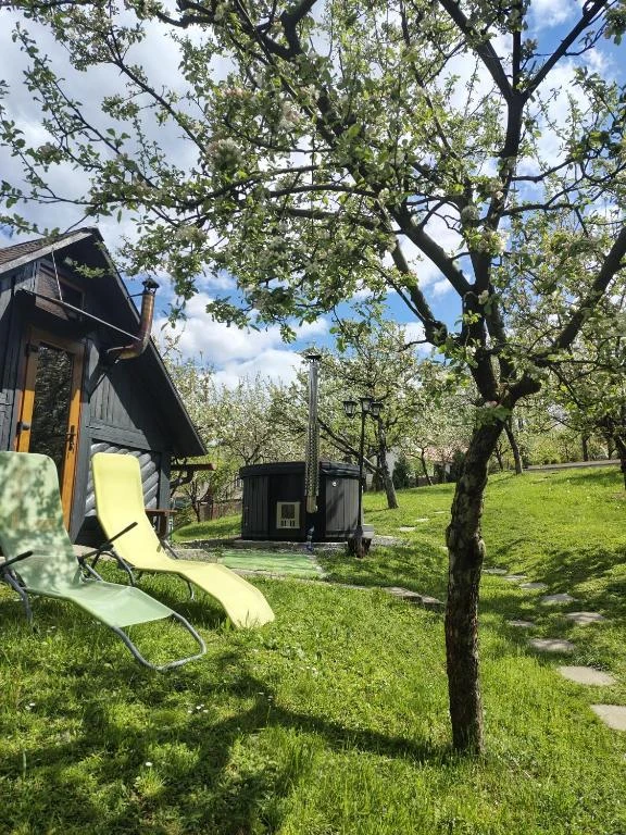 Baia Sprie Cazare | Pensiune (K0964-41) Imaginea poate fi supusă drepturilor de autor. Se recomandă contactarea titularului drepturilor. Baia Sprie Cazare | Pensiune (K0964-41) Imaginea poate fi supusă drepturilor de autor. Se recomandă contactarea titularului drepturilor.