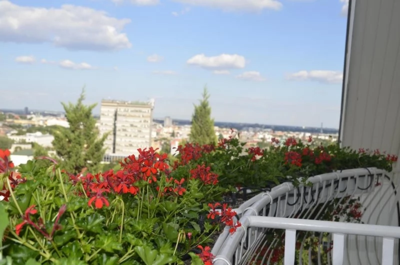 Budapest Szállás | Panzió (K0381-19) A kép szerzői jogvédelem alatt állhat. Javasolt a kapcsolatfelvétel a jog tulajdonossal. Budapest Szállás | Panzió (K0381-19) A kép szerzői jogvédelem alatt állhat. Javasolt a kapcsolatfelvétel a jog tulajdonossal.