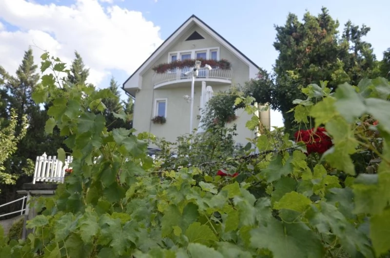 Budapest Szállás | Panzió (K0381-21) A kép szerzői jogvédelem alatt állhat. Javasolt a kapcsolatfelvétel a jog tulajdonossal. Budapest Szállás | Panzió (K0381-21) A kép szerzői jogvédelem alatt állhat. Javasolt a kapcsolatfelvétel a jog tulajdonossal.