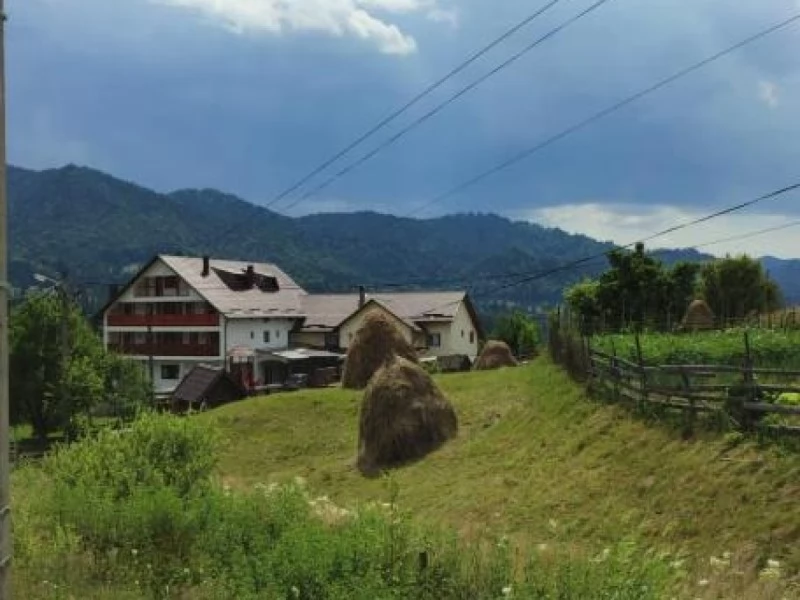 Colibița Cazare | Cabană (K1451-57) Imaginea poate fi supusă drepturilor de autor. Se recomandă contactarea titularului drepturilor. Colibița Cazare | Cabană (K1451-57) Imaginea poate fi supusă drepturilor de autor. Se recomandă contactarea titularului drepturilor.
