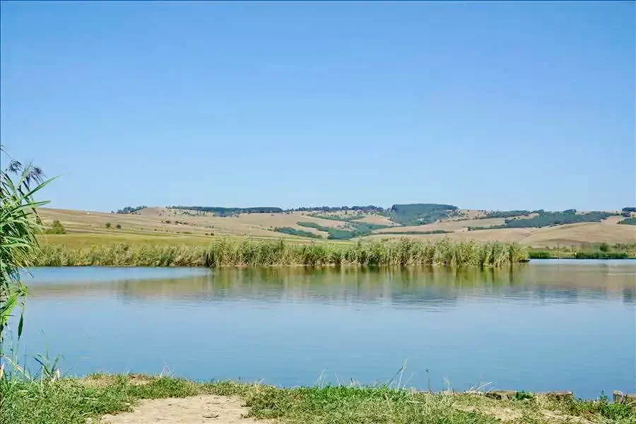 Homoródszentpál Szállás | Vendégház (K0854-13) A kép szerzői jogvédelem alatt állhat. Javasolt a kapcsolatfelvétel a jog tulajdonossal. Homoródszentpál Szállás | Vendégház (K0854-13) A kép szerzői jogvédelem alatt állhat. Javasolt a kapcsolatfelvétel a jog tulajdonossal.
