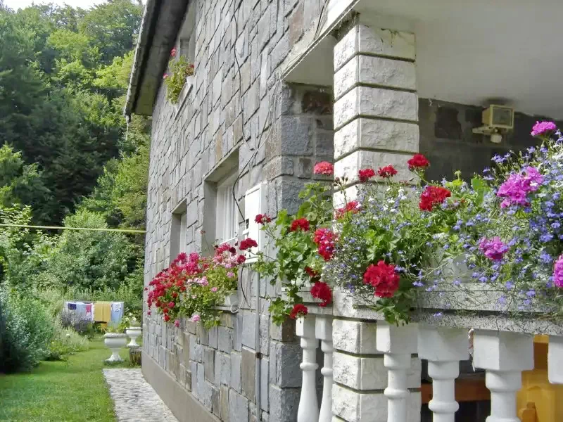 Sovata Cazare | Vilă (K0315-20) Imaginea poate fi supusă drepturilor de autor. Se recomandă contactarea titularului drepturilor.