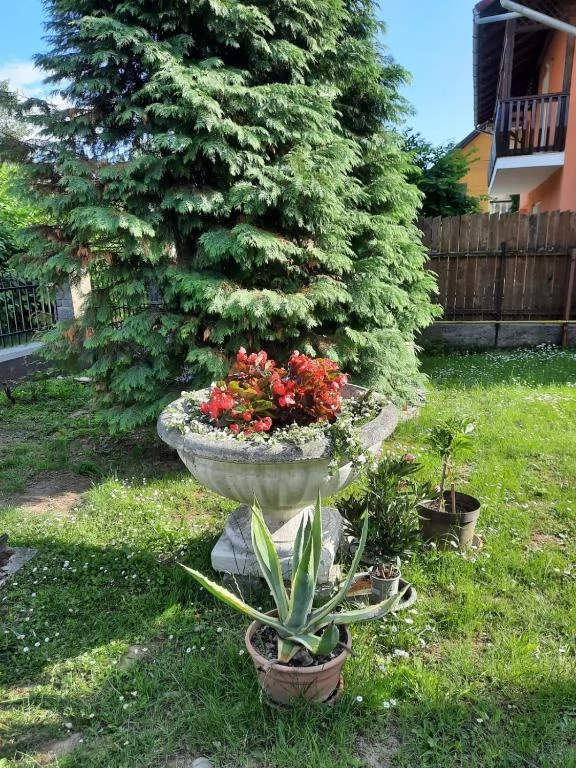 Sovata Cazare | Vilă (K0315-35) Imaginea poate fi supusă drepturilor de autor. Se recomandă contactarea titularului drepturilor.