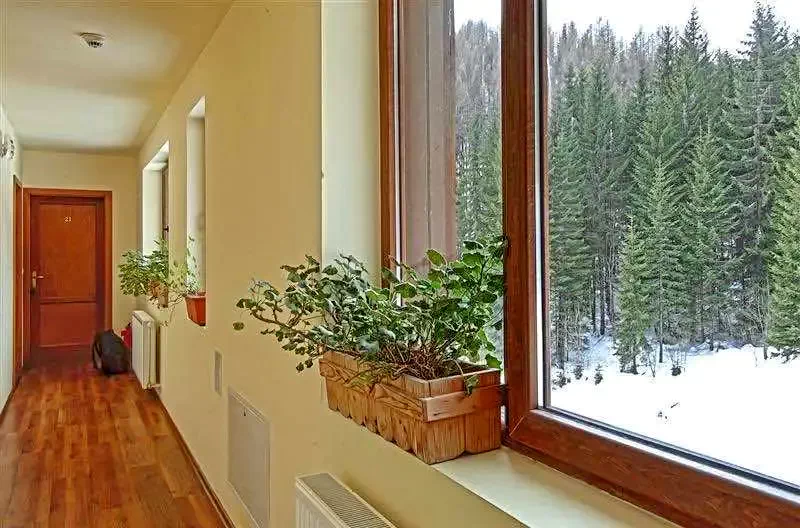 Cazare Harghita Băi - Pensiunea Tirol*** | Hargitafürdő -  Tirol Panzió ***. Imaginea poate fi supusă drepturilor de autor. Se recomandă contactarea titularului drepturilor.