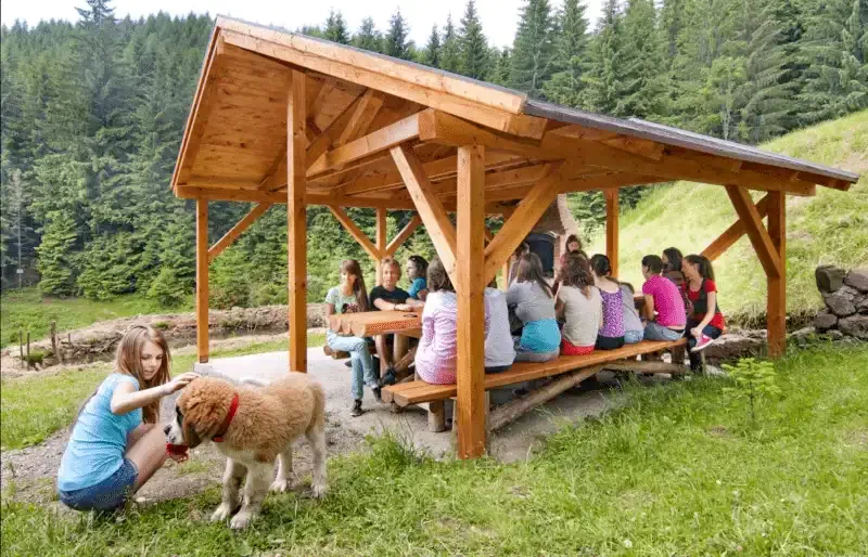 Cazare Harghita Băi - Pensiunea Tirol*** | Hargitafürdő -  Tirol Panzió ***. Imaginea poate fi supusă drepturilor de autor. Se recomandă contactarea titularului drepturilor.