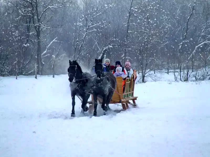 Târgu Secuiesc Cazare | Pensiune (K0747-29) Imaginea poate fi supusă drepturilor de autor. Se recomandă contactarea titularului drepturilor. Târgu Secuiesc Cazare | Pensiune (K0747-29) Imaginea poate fi supusă drepturilor de autor. Se recomandă contactarea titularului drepturilor.