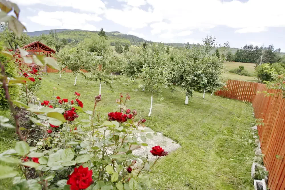 Izvoru Mureșului Cazare | Cabană (K0452-38) Imaginea poate fi supusă drepturilor de autor. Se recomandă contactarea titularului drepturilor. Izvoru Mureșului Cazare | Cabană (K0452-38) Imaginea poate fi supusă drepturilor de autor. Se recomandă contactarea titularului drepturilor.