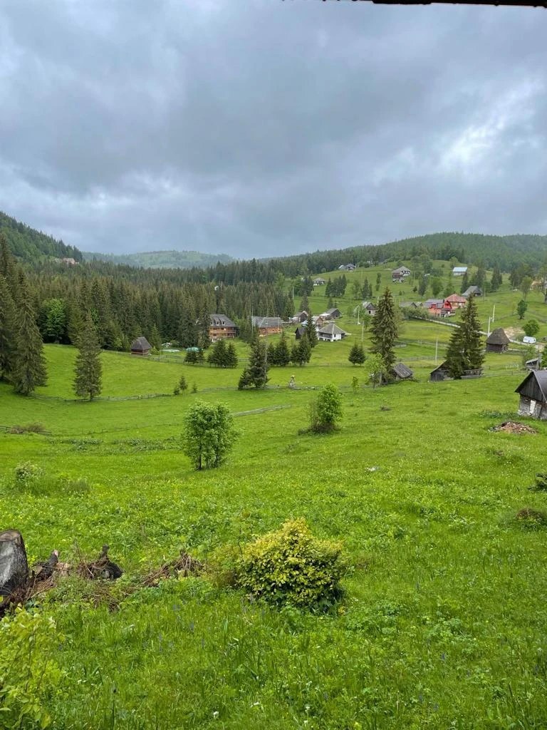 Aranyosfő Szállás | Panzió (K1144-20) A kép szerzői jogvédelem alatt állhat. Javasolt a kapcsolatfelvétel a jog tulajdonossal. Aranyosfő Szállás | Panzió (K1144-20) A kép szerzői jogvédelem alatt állhat. Javasolt a kapcsolatfelvétel a jog tulajdonossal.