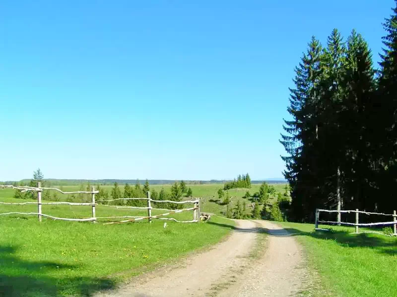 Homoródfürdő Szállás | Panzió (K0121-47) A kép szerzői jogvédelem alatt állhat. Javasolt a kapcsolatfelvétel a jog tulajdonossal.