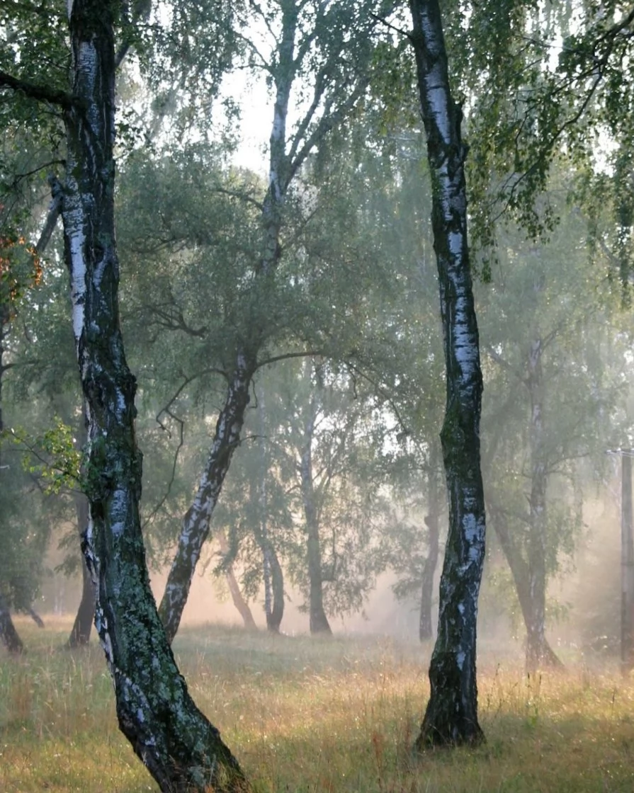Sepsiszentgyörgy Szállás | Panzió (K1450-31) A kép szerzői jogvédelem alatt állhat. Javasolt a kapcsolatfelvétel a jog tulajdonossal. Sepsiszentgyörgy Szállás | Panzió (K1450-31) A kép szerzői jogvédelem alatt állhat. Javasolt a kapcsolatfelvétel a jog tulajdonossal.