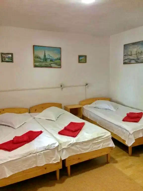 Cazare Borșa - Pensiunea Maria*** | Borsafüred - Mária Panzió***. Imaginea poate fi supusă drepturilor de autor. Se recomandă contactarea titularului drepturilor.
