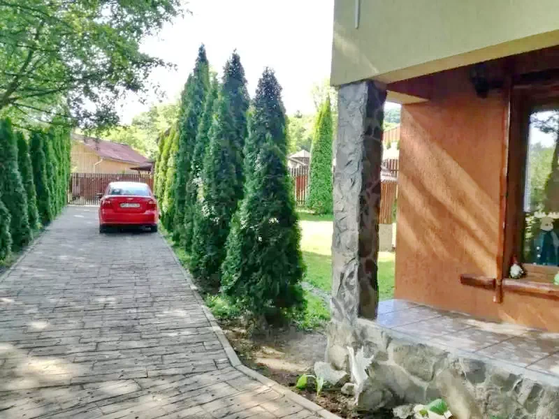 Szováta Szállás | Kulcsosház (K0197-14) A kép szerzői jogvédelem alatt állhat. Javasolt a kapcsolatfelvétel a jog tulajdonossal. Szováta Szállás | Kulcsosház (K0197-14) A kép szerzői jogvédelem alatt állhat. Javasolt a kapcsolatfelvétel a jog tulajdonossal.