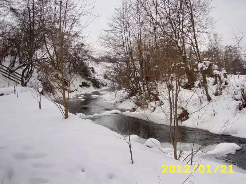 Szováta Szállás | Kulcsosház (K0197-23) A kép szerzői jogvédelem alatt állhat. Javasolt a kapcsolatfelvétel a jog tulajdonossal. Szováta Szállás | Kulcsosház (K0197-23) A kép szerzői jogvédelem alatt állhat. Javasolt a kapcsolatfelvétel a jog tulajdonossal.