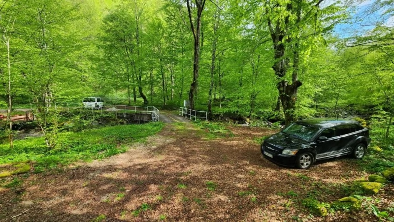 Szállás Valea Boga - Vila Julius** | Boga Völgye - Julius Vila** . A kép szerzői jogvédelem alatt állhat. Javasolt a kapcsolatfelvétel a jog tulajdonossal.