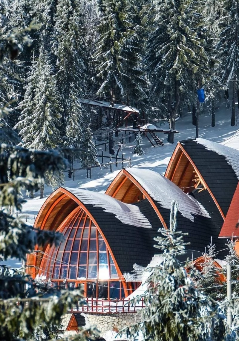 Scărișoara Cazare | Hotel*** (K1458-26) Imaginea poate fi supusă drepturilor de autor. Se recomandă contactarea titularului drepturilor. Scărișoara Cazare | Hotel*** (K1458-26) Imaginea poate fi supusă drepturilor de autor. Se recomandă contactarea titularului drepturilor.